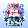 中级审计师